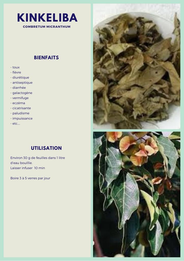 Kinkeliba
