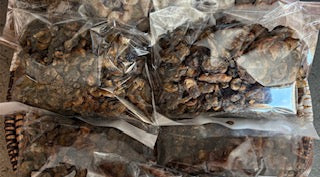 Dried Oysters
