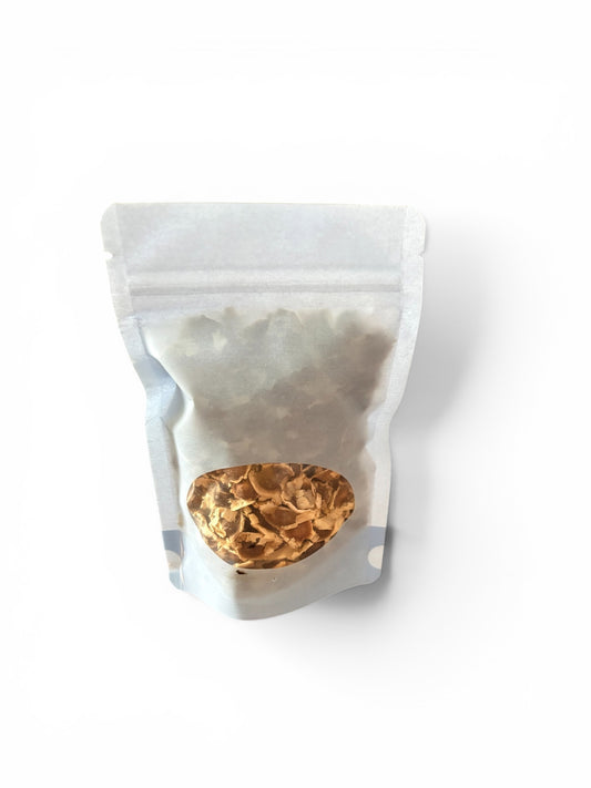 Graines de moringa